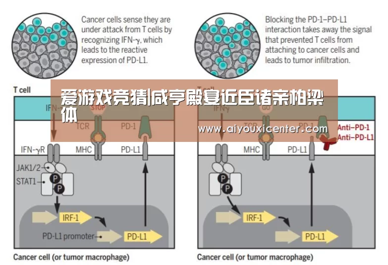 爱游戏竞猜|咸亨殿宴近臣诸亲柏梁体(图3) 爱游戏真人