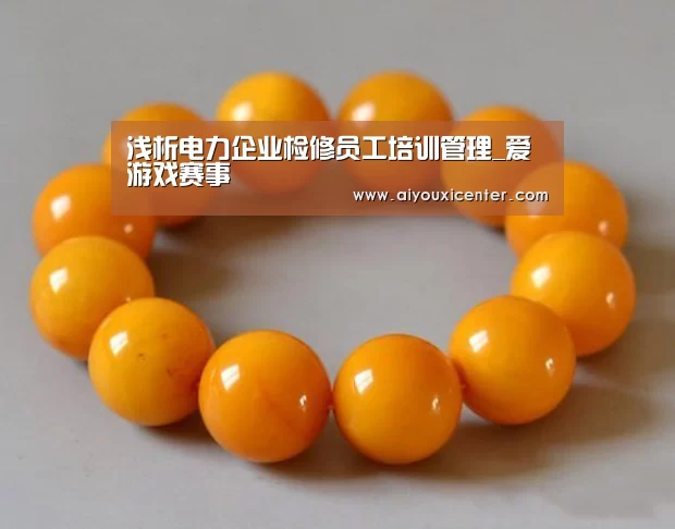 浅析电力企业检修员工培训管理_爱游戏赛事(图3) 爱游戏竞猜