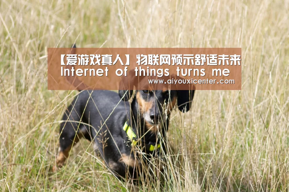 爱游戏真人