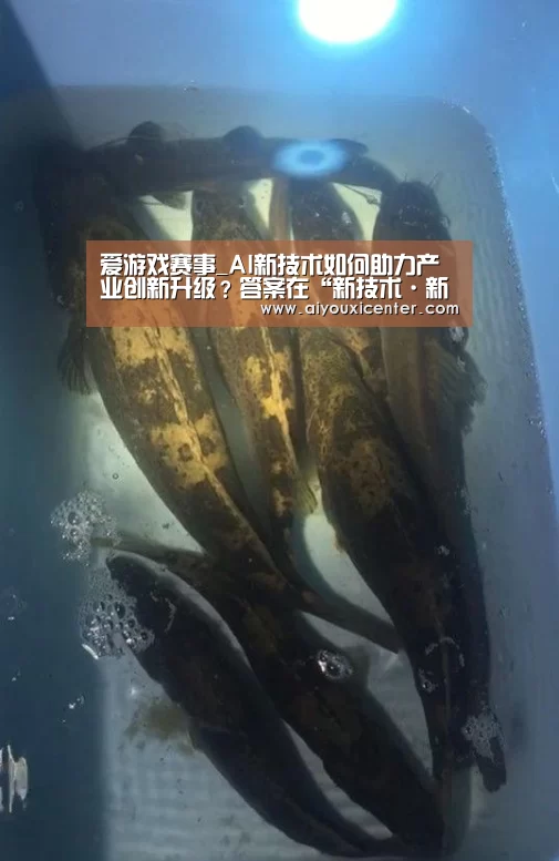 爱游戏APP