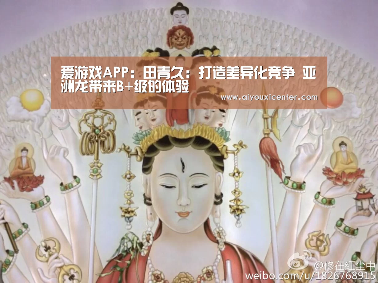 爱游戏APP:田青久:打造差异化竞争 亚洲龙带来B+级的体验(图1) 爱游戏APP