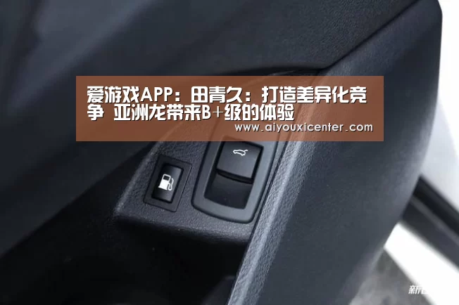 爱游戏APP:田青久:打造差异化竞争 亚洲龙带来B+级的体验(图2) 爱游戏竞猜