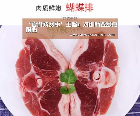 ‘爱游戏赛事’王坚:对创新要多点耐心(图1) 爱游戏APP