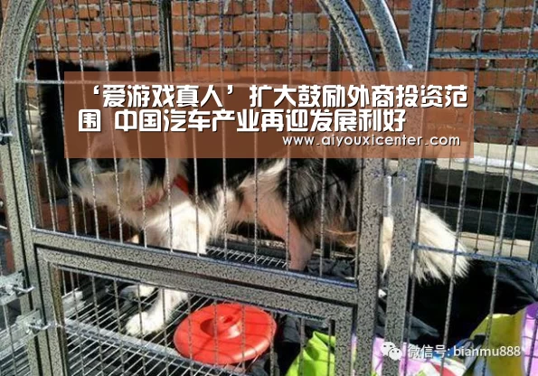 ‘爱游戏真人’扩大鼓励外商投资范围 中国汽车产业再迎发展利好(图3) 爱游戏赛事