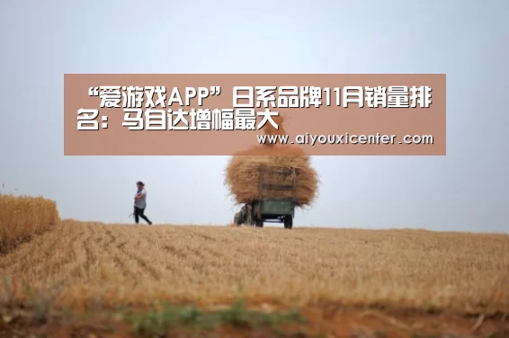 爱游戏APP