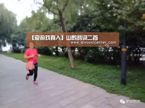 【爱游戏真人】山鹧鸪词二首(图1) 爱游戏真人