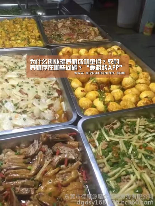 爱游戏赛事
