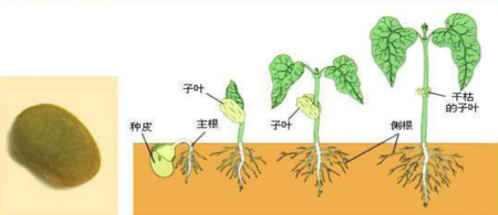 母亲节祝福简短【爱游戏竞猜】(图1) 爱游戏真人