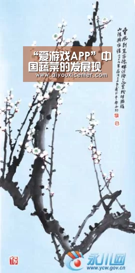 爱游戏竞猜