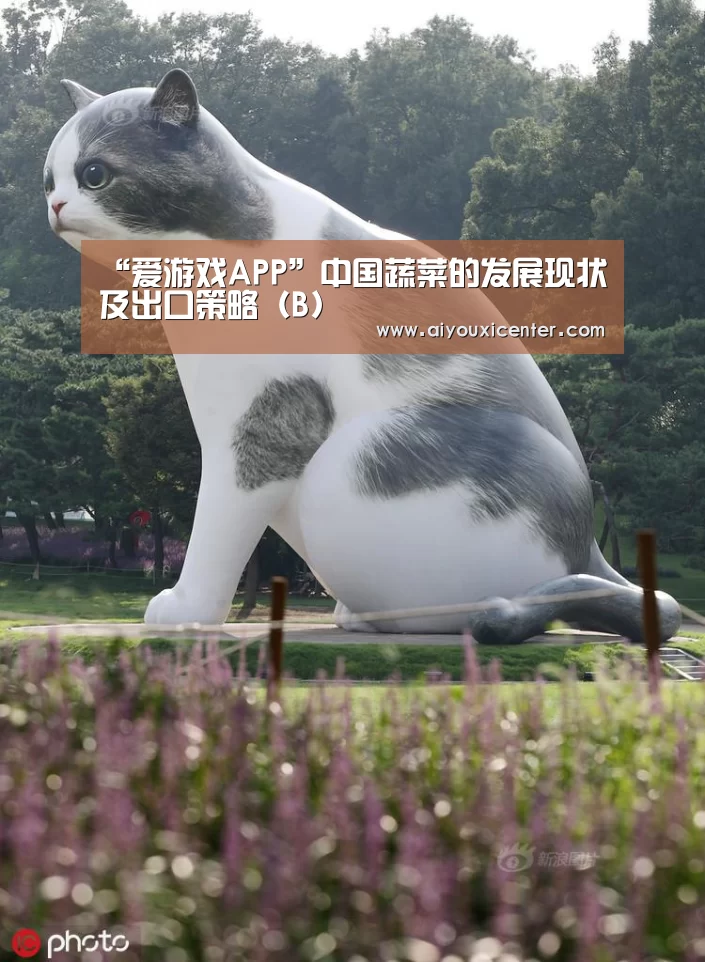 爱游戏竞猜