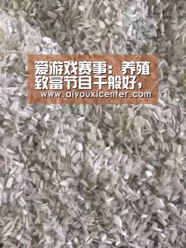 爱游戏赛事:养殖致富节目千般好,为何自己创业就失败?(图1) 爱游戏真人