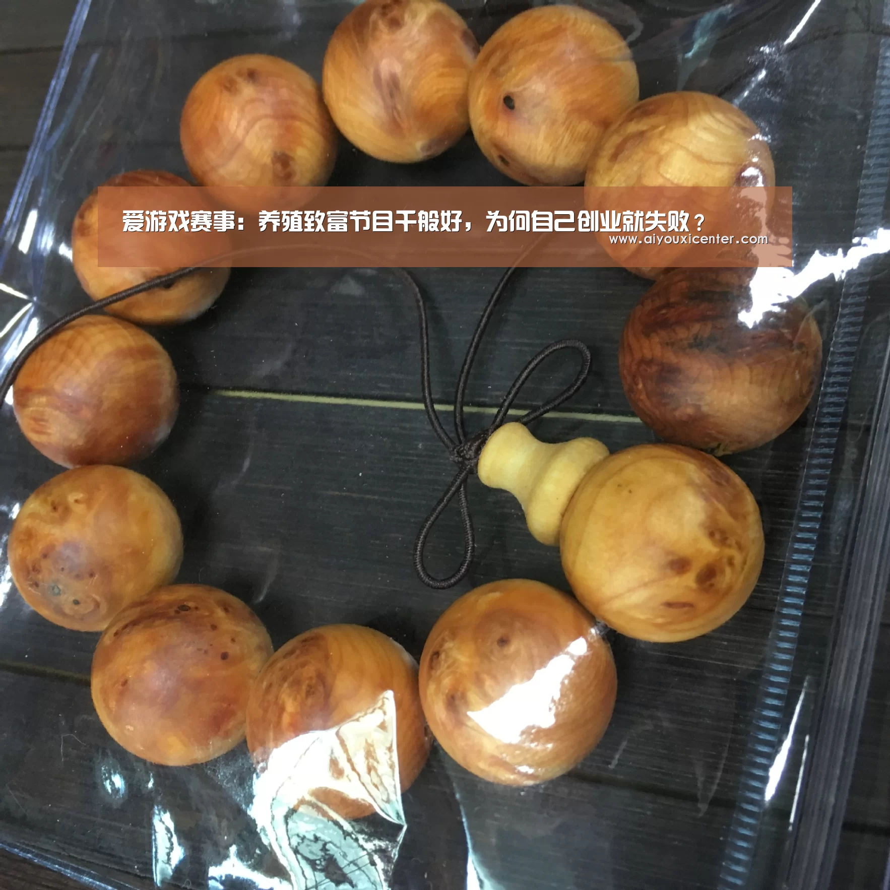 爱游戏赛事:养殖致富节目千般好,为何自己创业就失败?(图2) 爱游戏赛事