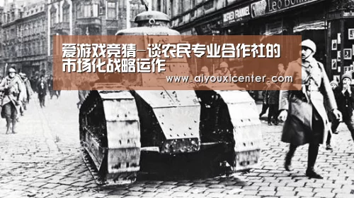 爱游戏竞猜-谈农民专业合作社的市场化战略运作(图2) 爱游戏竞猜