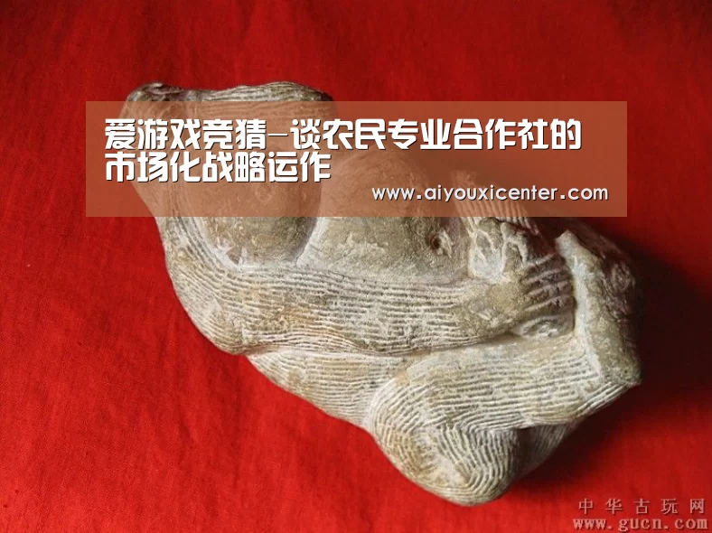爱游戏竞猜-谈农民专业合作社的市场化战略运作(图1) 爱游戏赛事