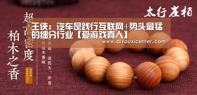 王侠:汽车是践行互联网+势头最猛的细分行业【爱游戏真人】(图1) 爱游戏竞猜