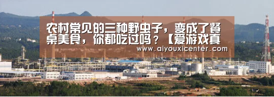 农村常见的三种野虫子,变成了餐桌美食,你都吃过吗?【爱游戏真人】(图1) 爱游戏赛事